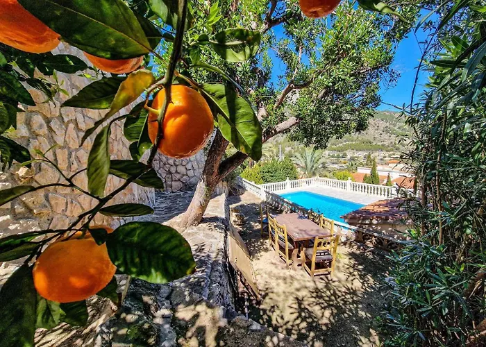 Bona Vista * קלפה